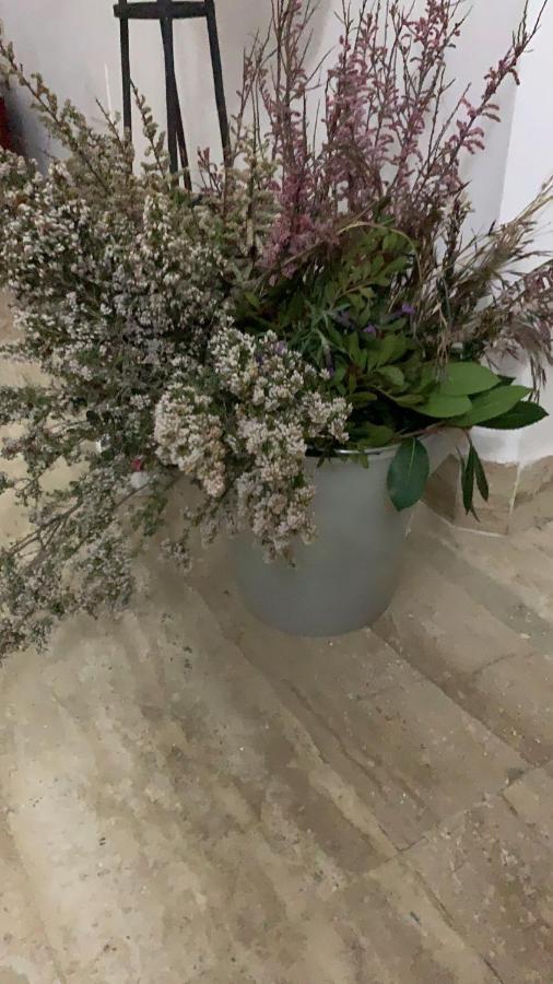 Altrove Bed & Breakfast Каляри Екстериор снимка